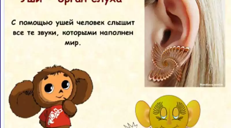 Что значит выражение у всех на слуху. Смотреть фото Что значит выражение у всех на слуху. Смотреть картинку Что значит выражение у всех на слуху. Картинка про Что значит выражение у всех на слуху. Фото Что значит выражение у всех на слуху